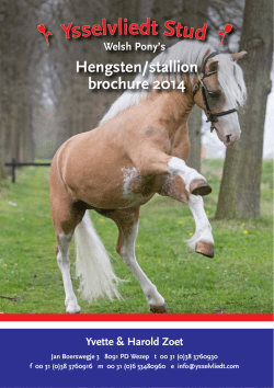 Hengstenbrochure 2014