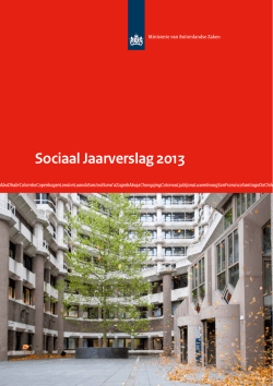 "Sociaal jaarverslag BZ 2013" PDF document