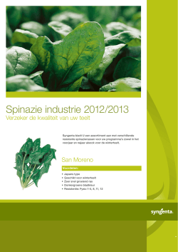 Spinazie industrie 2012/2013
