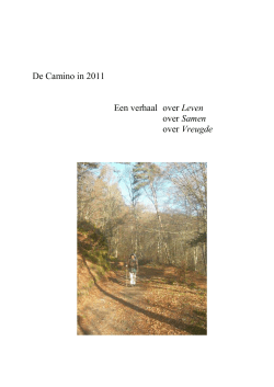 De Camino in 2011 Een verhaal over Leven