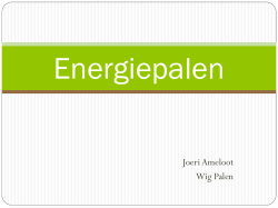 Joeri Ameloot Wig Palen