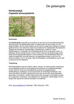 Herderstasje BAB