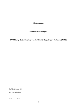 Eindrapport Externe deskundigen SVB Tien