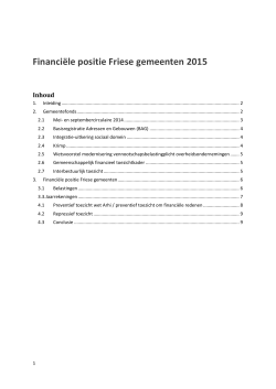verslag financiële positie gemeenten 2014