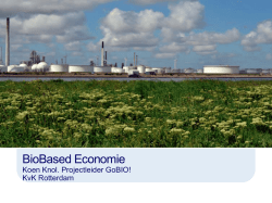 DSD BV - Afdeling De Hoeksche Waard