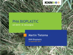 Pitch Martin Tietema, KNN Plastic (2.2Mb)