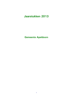 Jaarstukken 2013 volledig