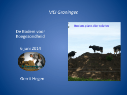 MEI Groningen - De Boerenveearts