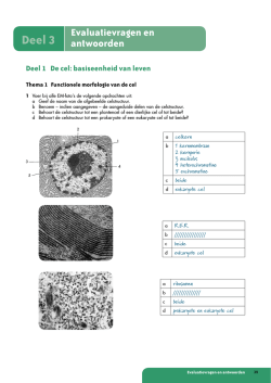 Deel 3 - De Boeck