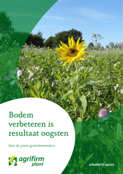 Groenbemesters