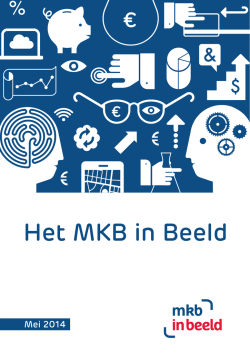 Het MKB in Beeld