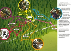 in PDF-formaat
