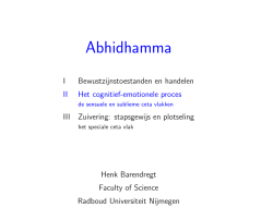 Het cognitief emotionele model