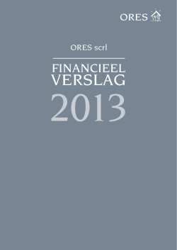 Financieel verslag 2013