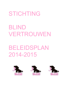 Indeling Beleidsplan stichting Blind Vertrouwen