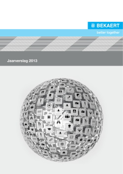Jaarverslag 2013