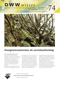 dww-wijzer-74 (4.48MB)