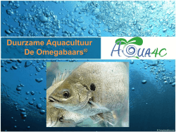 Duurzame Aquacultuur De Omegabaars®