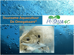 Duurzame Aquacultuur De Omegabaars&reg;