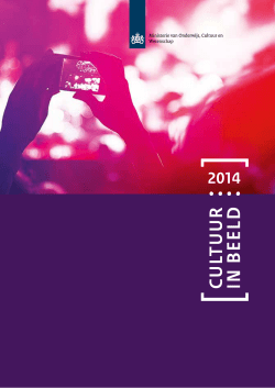 "Cultuur in beeld 2014" PDF document