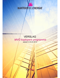 20140403 Verslag MVO koplopers programma sessie 2