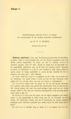 download pdf