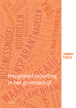 Integrated reporting in het grootbedrijf