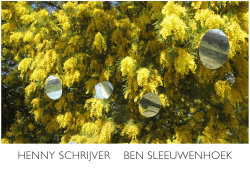 HENNY SCHRIJVER BEN SLEEUWENHOEK