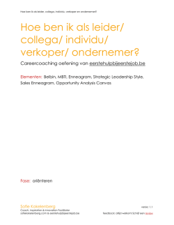 Hoe ben ik als leider/ collega/ individu/ verkoper