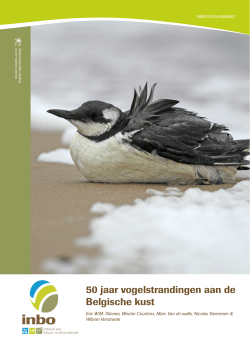 50 jaar vogelstrandingen aan de Belgische kust