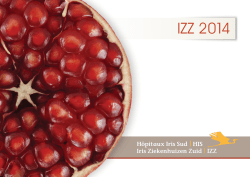 HIS 2014 - H&ocirc;pitaux Iris Sud