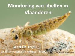 Download PDF - Libellenvereniging Vlaanderen vzw