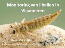 Download PDF - Libellenvereniging Vlaanderen vzw