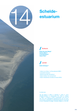 Schelde- estuarium - Compendium Kust en Zee