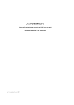 Publicatiejaarrekening 2013 SOS Rommelmarkt