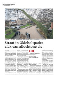 Straat in Oldeholtpade: ziek van allochtone els Straat in Oldeholtpade: