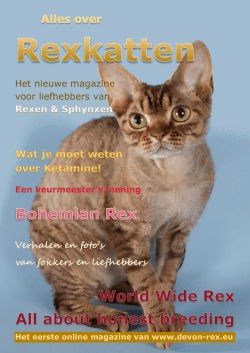 Het nieuwe magazine voor liefhebbers van Verhalen - devon