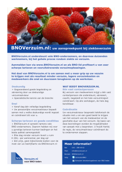 BNOVerzuim.nl - Naar Schouten Verzekeringsdienst voor BNO