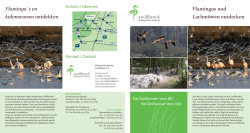 Download - Biologische Station Zwillbrock eV