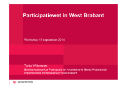 Workshop De Particiaptiewet, T. Willemsen