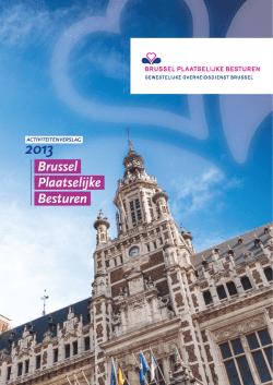 Het activiteitenverslag 2013
