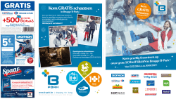Download (PDF) - B-Park
