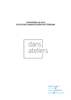jaarverslag/jaarrekening 2013