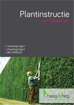 Download hier onze plantinstructie voor haagplanten