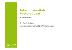 IUP 2014 dr. C. Lafaire brandwonden