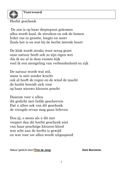 Herfst geschenk De zon is op haar dieptepunt gekomen alles wordt