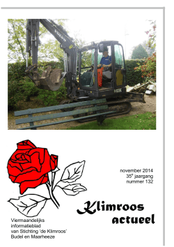 Download de klimroos actueel
