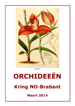 Maart - Orchidee Brabant