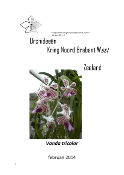 Februari - Orchidee Bwz