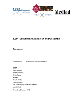 zzp-tussen-werknemer-en-ondernemer-seor-2013